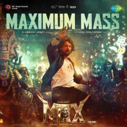 Maximum Mass